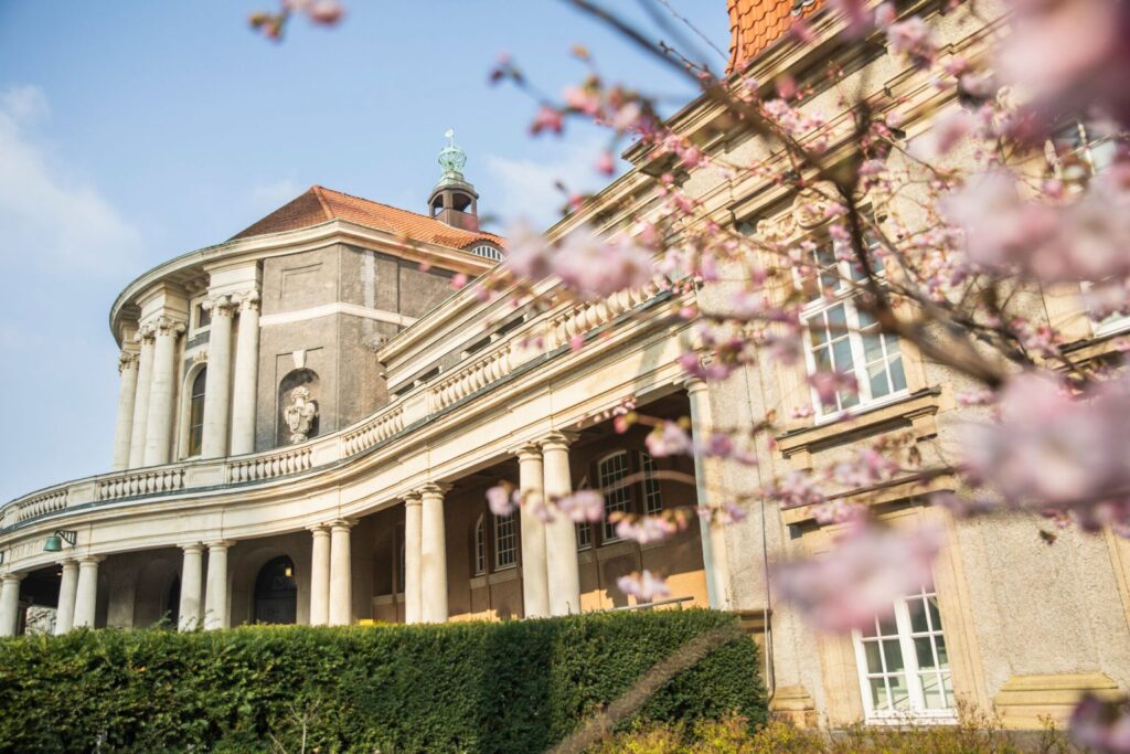 Vorlesung „Management in Stiftungen“ an der Universität Hamburg startet in zweite Runde