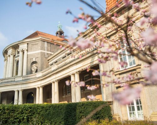 Vorlesung „Management in Stiftungen“ an der Universität Hamburg startet in zweite Runde