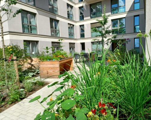 2024_00_48_B2 Blick auf rollstuhlgerechte Hochbeete im Sinnesgarten